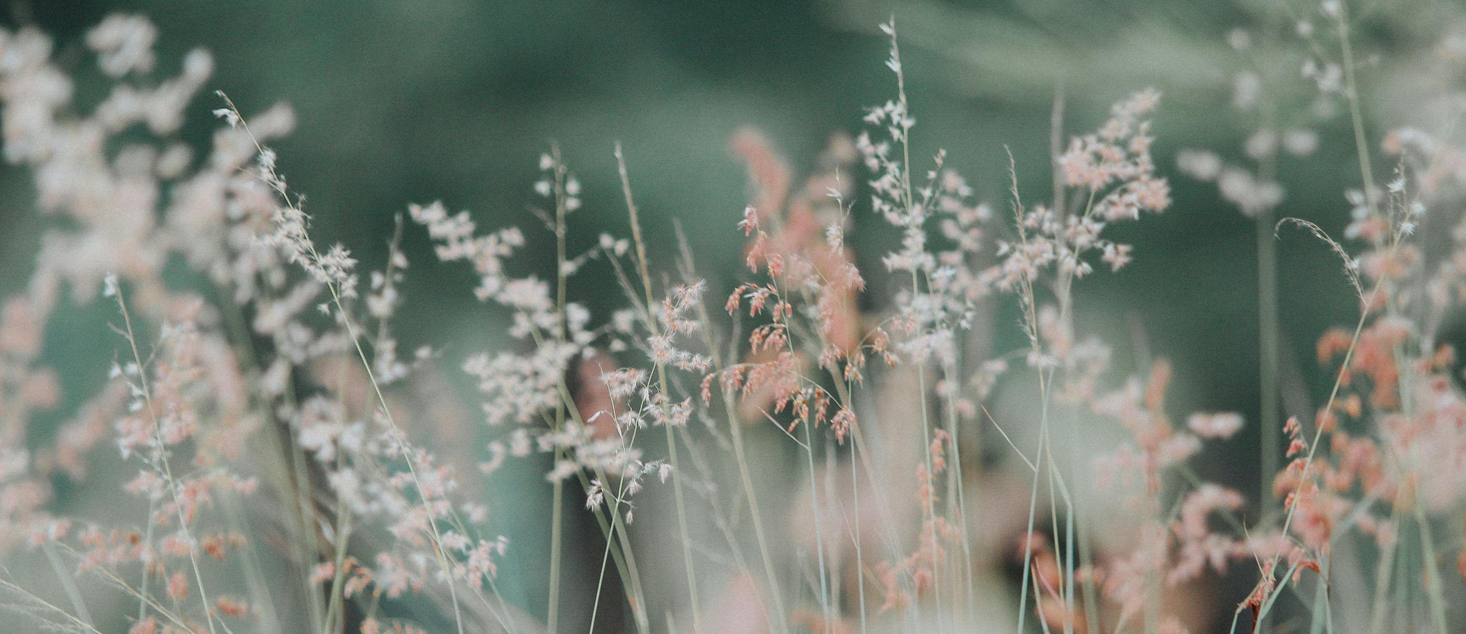 writing is like flowers.