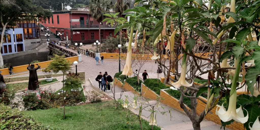 how to learn a&nbsp;language