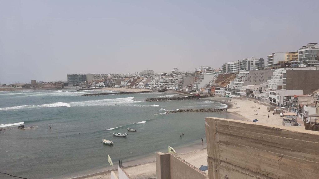 did you see the&nbsp;pigeon?