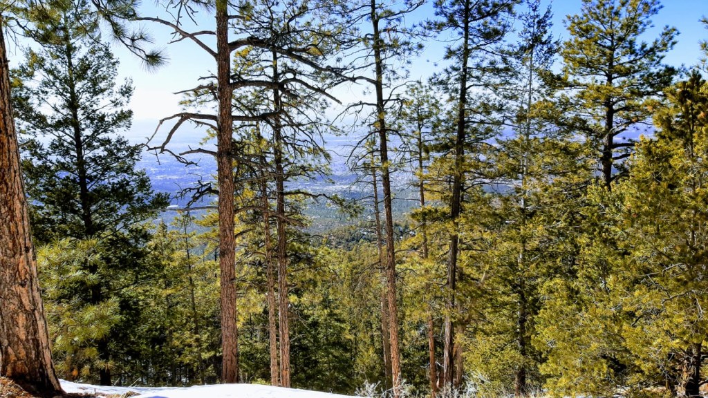 advice from a&nbsp;stranger