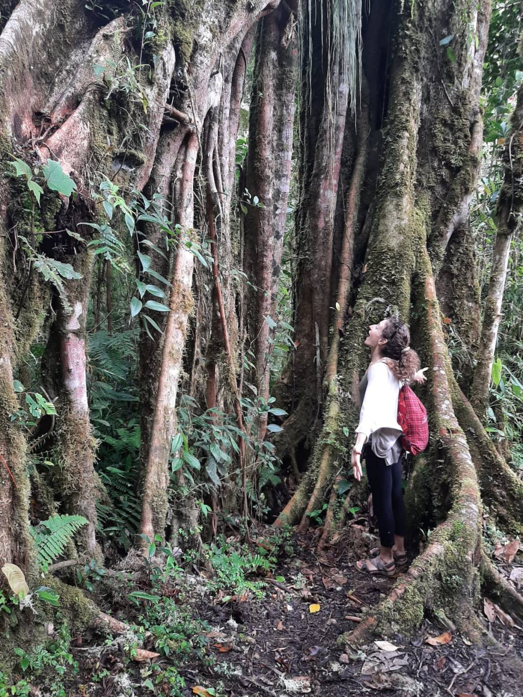 saws and other writing&nbsp;tools