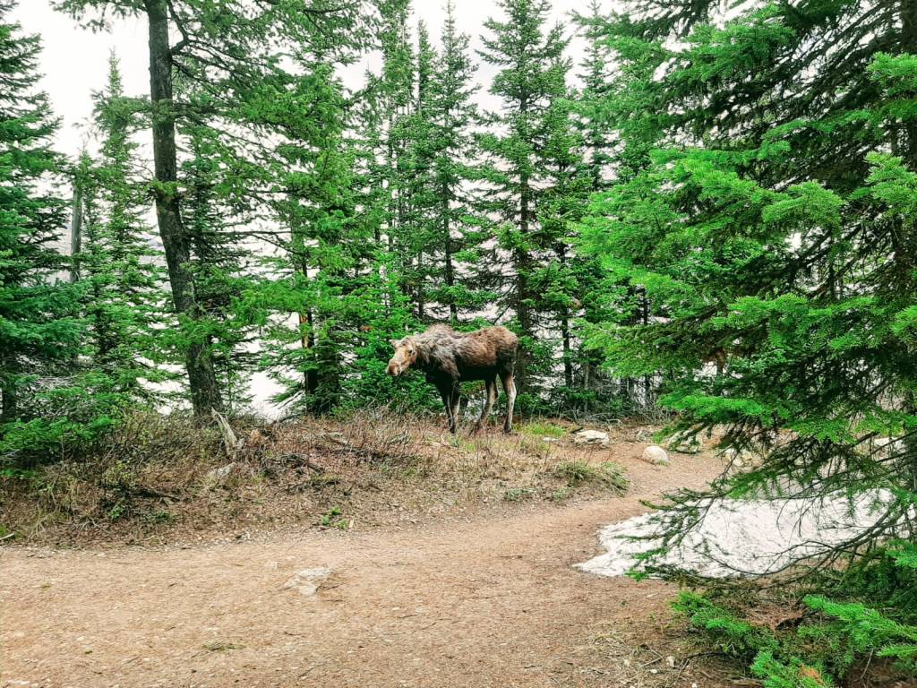 how to write a&nbsp;book