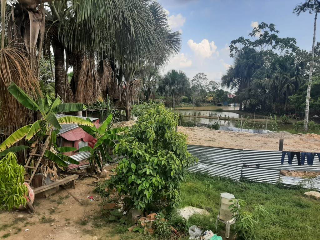 on the failure of&nbsp;words